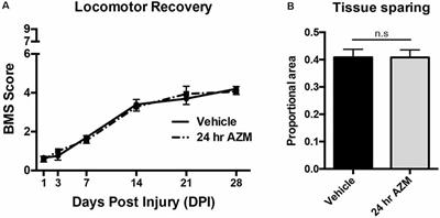 Delayed Azithromycin Treatment Improves Recovery After Mouse Spinal Cord Injury